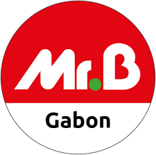 Mr.Bricolage